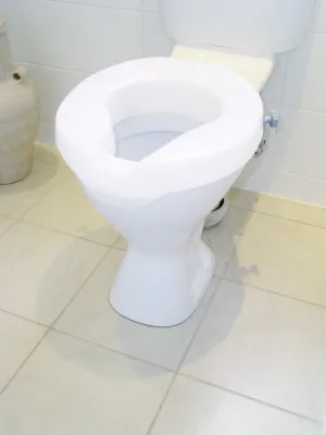 Ashby Raised toilet seat