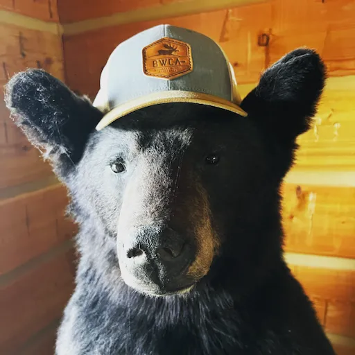 BWCA Patch Hat - Trucker Low Profile