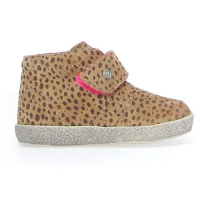 Falcotto - Conte VL - Leopard/Pony