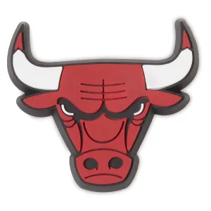 NBA Chicago Bulls Logo Jibbitz