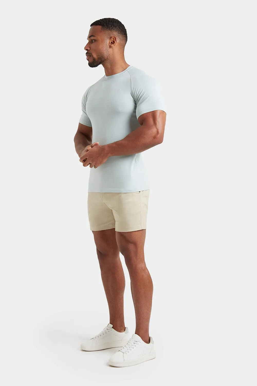 Premium Muscle Fit T-Shirt in Soft Green