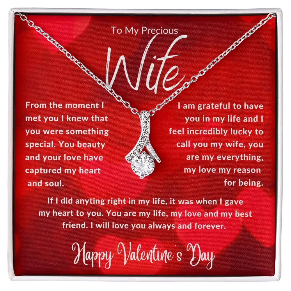To My Precious Wife From The Moment I Met You Red Hearts
