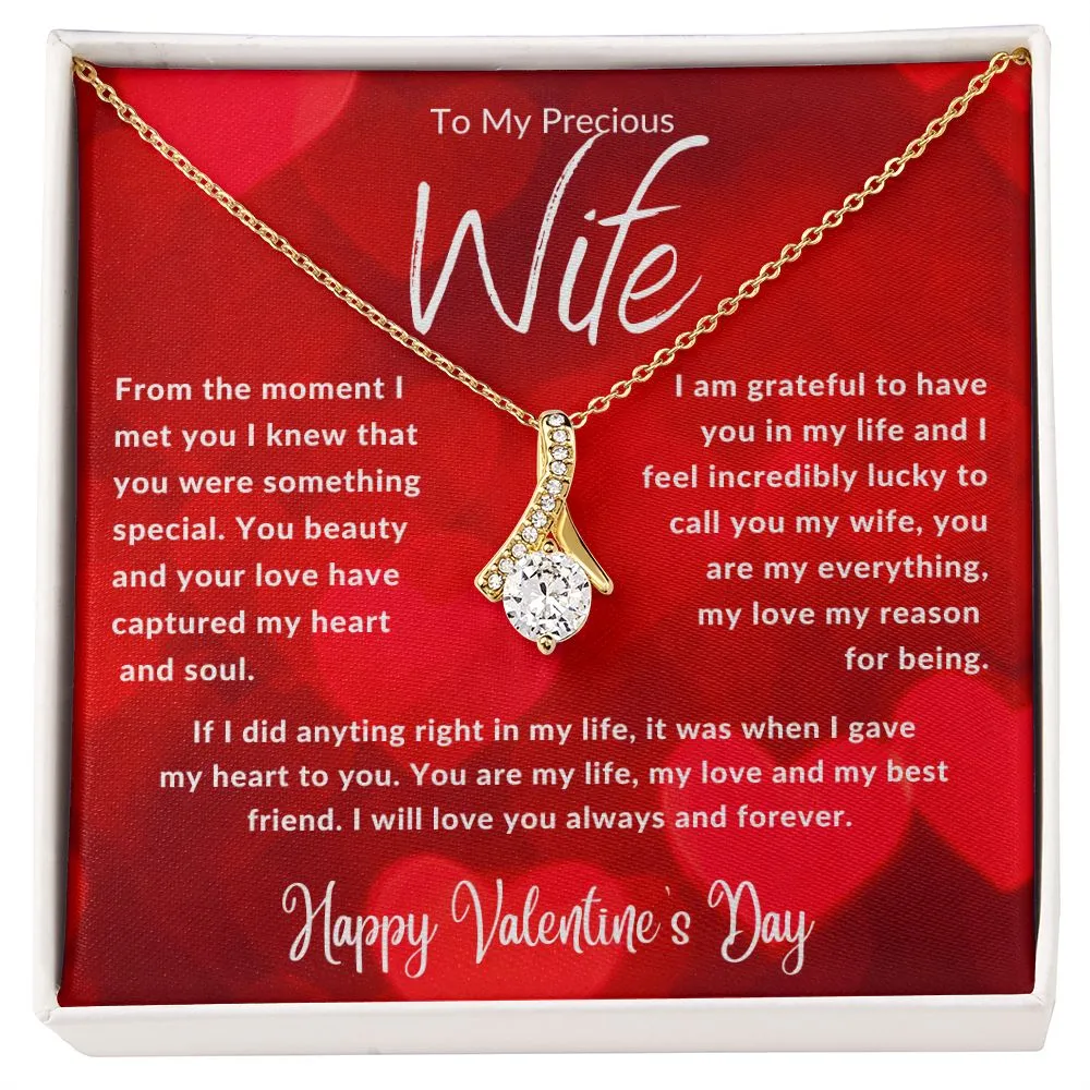 To My Precious Wife From The Moment I Met You Red Hearts