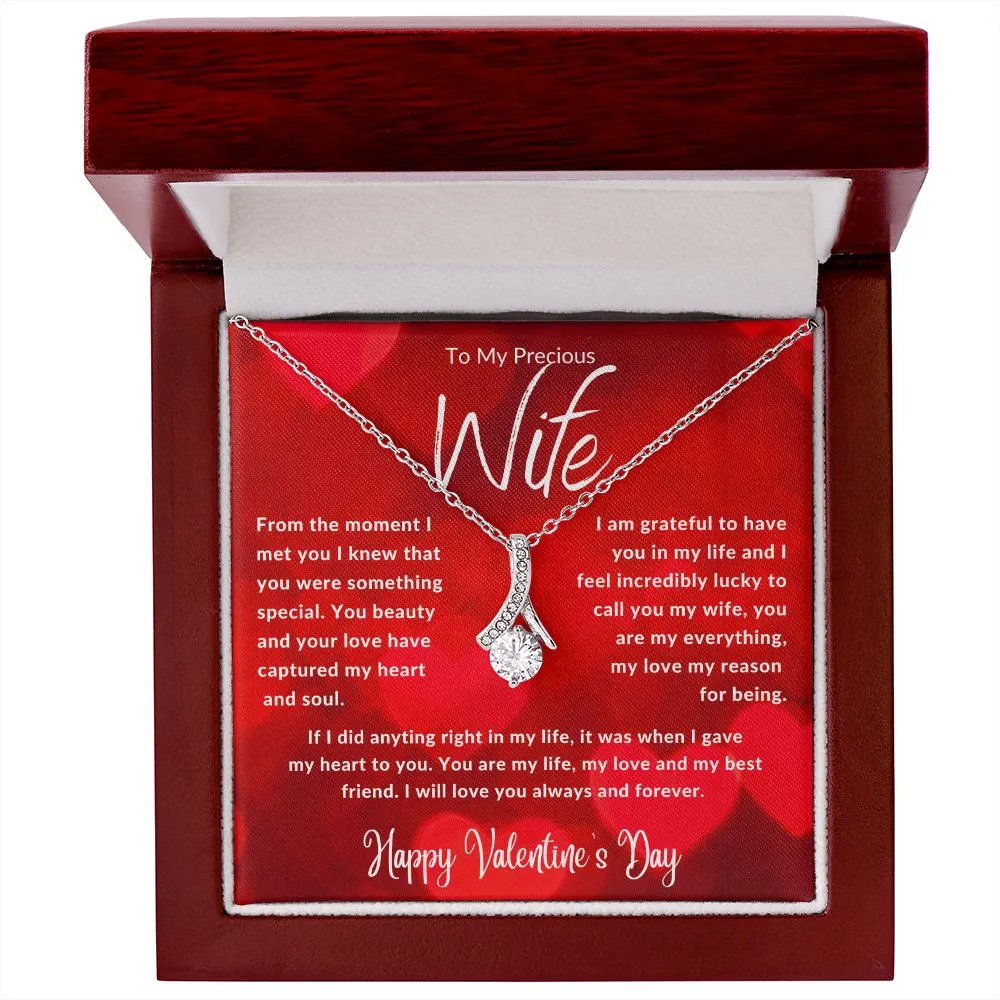 To My Precious Wife From The Moment I Met You Red Hearts