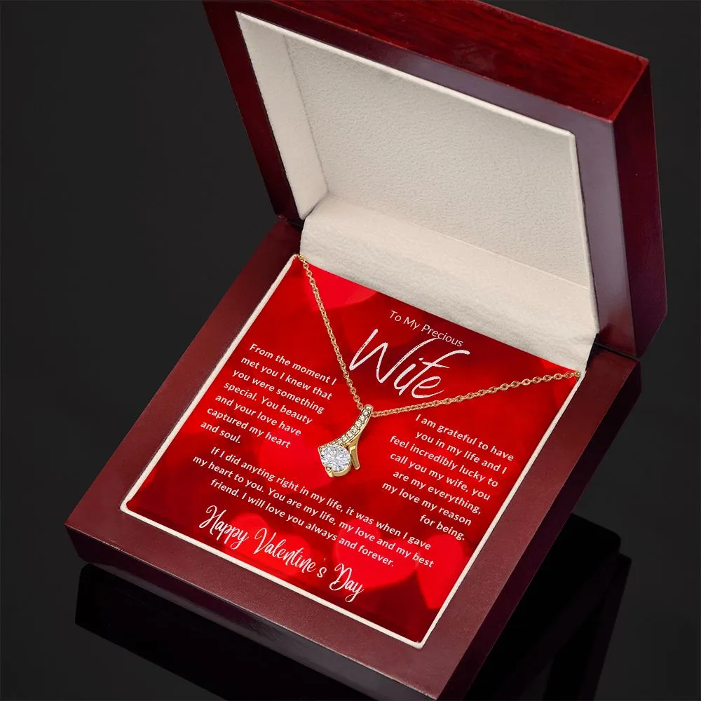 To My Precious Wife From The Moment I Met You Red Hearts